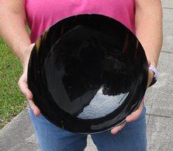Buy this Polished Buffalo Horn, Cow Horn bowl measuring approximately 10 inches for $23