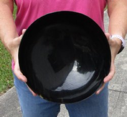 Polished Buffalo Horn, Cow Horn bowl measuring approximately 10 inches. Available for sale for $23