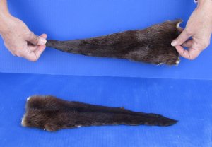 Otter Tails Hand Picked Pricing