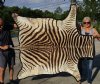 65" x 51" Real Zebra Skin Rug with felt backing - you are buying the zebra hide pictured for $695.00 (Adult Signature Required)