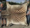 70" x 59" Real Zebra Skin Rug with felt backing - you are buying the zebra hide pictured for $895.00 (Adult Signature Required)