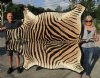 77" x 56" Real Zebra Skin Rug with felt backing - you are buying the zebra hide pictured for $795.00 (Adult Signature Required)