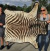 58" x 45" Real Zebra Skin Rug with felt backing - you are buying the zebra hide pictured for $495.00 (Adult Signature Required)