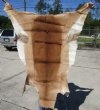48L x 36W African impala skin, hide - You are buying this one for $60.00