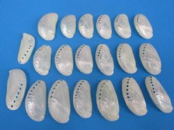 Wholesale Pearl don...
