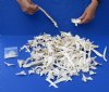 2 lb Assorted lot of Alligator skull bones with 100 pc 3/4 inch and under gator teeth. You are buying the bones pictured for $10