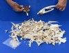 2 lb Assorted lot of Alligator skull bones with 100 pc 3/4 inch and under gator teeth. You are buying the bones pictured for $20