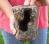 Fossil Whale Vertebra bone measuring approximately 5-1/2 x 4-1/2 inches. You are buying the whale bone pictured for $32