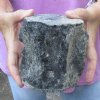 Fossil Whale Vertebra bone measuring approximately 5 x 5 inches. You are buying the whale bone pictured for $32