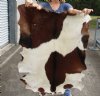 Real Goat Hide for sale (Capra aegagrus hircus) for sale 41 x 30 inches - review all photos - you are buying the goat hide pictured for $35
