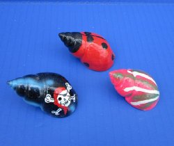 1-1/4 to 2-1/4 inches Painted Hermit Crab Babylonia Shells with Assorted Designs, Skulls, Beetles, Abstract Art - 50 pcs @ .45 each; 200 pcs @ .40 each