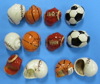 Painted Hermit Crab Shells in Sports Ball Designs 1-1/4" to 2" 50 pcs @ $.50 each; 200 pcs @ $.45 each