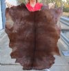 Real Goat Hide for sale (Capra aegagrus hircus) for sale 39 x 29 inches - review all photos - you are buying the goat hide pictured for $32