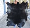 Real Goat Hide for sale (Capra aegagrus hircus) for sale 42 x 33 inches - review all photos - you are buying the goat hide pictured for $32