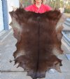 Real Goat Hide for sale (Capra aegagrus hircus) for sale 46 x 30 inches - review all photos - you are buying the goat hide pictured for $32