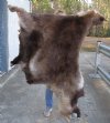 Craft Grade 58 inch by 44 inch Tanned Reindeer hide imported from Finland. You will receive the skin pictured for $60.00