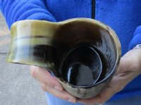 Ox horn mug, Cow horn mug half polished and half rustic carved measuring 8" tall - $36