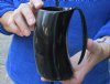 Polished buffalo horn mug measuring approximately 5 inches tall. You are buying the horn mug pictured for $19
