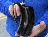 Polished Ox horn mug, Cow horn mug measuring approximately 5-1/2 inches tall for $19
