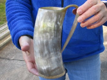 Polished Ox horn mug, Cow horn mug with wood base/bottom measuring approximately 8-1/2 inches tall for $36