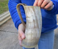 Polished Ox horn mug, Cow horn mug with wood base/bottom measuring approximately 8-1/2 inches tall for $36