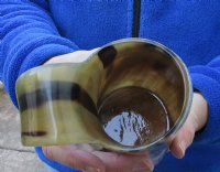 Polished buffalo horn mug with wood base/bottom measuring approximately 7-1/2 inches tall. You are buying the horn mug pictured for $30
