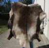 52 by 48 inches Finland Reindeer Hide, Skin, farm raised - You are buying this one for $155 (hole)