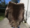 Grade A Reindeer pelt/hide/skin without legs, 51 inches long by 41 inches wide - You will receive the one pictured for $110