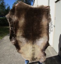 Grade A Reindeer pelt/hide/skin without legs, 54 inches long by 47 inches wide - You will receive the one pictured for $110