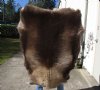Grade B Reindeer pelt/hide/skin without legs, 48 inches long by 38 inches wide - You will receive the one pictured for $95