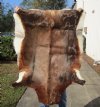Blesbok Skin Rug, Blesbok Hide Soft Tanned 46" x 35" - Review all photos.  (You are buying the skin pictured) for $55 