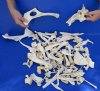 4 lbs. of assorted wild boar/pig and deer bones and bone pieces.  You are buying the assorted bones pictured for $32.00 