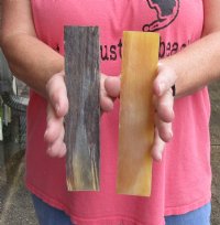 One pair of 7" x 1-1/2" x 1/4" sheep horn scales, knife handle material - you are buying the pair of horn scales pictured for $30.00 pair 