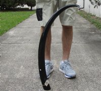 40 inch polished buffalo horn from an Indian water buffalo - You are buying the horn pictured for $32
