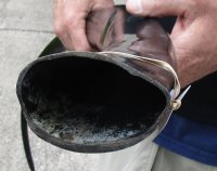 41 inch polished buffalo horn from an Indian water buffalo - $23