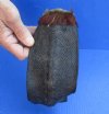 North American Beaver tail cured in formaldehyde measuring 11 x 4 inches - You are buying the tail shown for $14.00