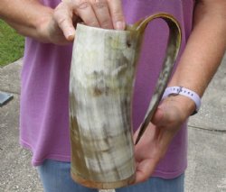 Polished Buffalo Horn Mug, Ox Horn Mug with wood base/bottom measuring approximately 8 inches tall. Available for sale for $36