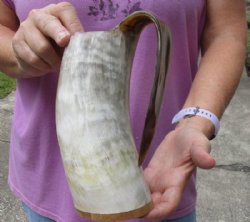Polished Buffalo Horn Mug, Ox Horn Mug with wood base/bottom measuring approximately 8 inches tall. Buy now for $36