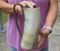Polished buffalo horn mug with wood base/bottom measuring approximately 8-1/4 inches tall. You are buying the horn mug pictured for $36