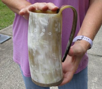 Polished Ox Horn Mug, Cow Horn mug with wood base/bottom measuring approximately 7-1/4 inches tall. For sale for $30
