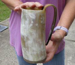Polished Ox Horn Mug, Cow Horn mug with wood base/bottom measuring approximately 7-1/4 inches tall. For sale for $30