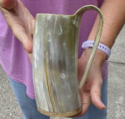 Polished Buffalo Horn Mug, Ox Horn Mug with wood base/bottom measuring approximately 7 inches tall. Available for sale for $30