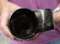 Polished buffalo horn mug with wood base/bottom measuring approximately 7 inches tall. For sale for $30