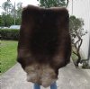 Grade B Reindeer pelt/hide/skin without legs, 50 inches long by 38 inches wide - You will receive the one pictured for $95 