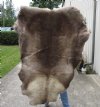 Grade B Reindeer pelt/hide/skin without legs, 52 inches long by 36 inches wide - You will receive the one pictured for $95 (holes, cut marks)