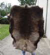 Grade B Reindeer pelt/hide/skin without legs, 49 inches long by 40 inches wide - You will receive the one pictured for $95 (holes)