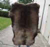 Grade A Reindeer pelt/hide/skin without legs, 50 inches long by 40 inches wide - You will receive the one pictured for $110