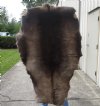Grade A Reindeer pelt/hide/skin without legs, 53 inches long by 37 inches wide - You will receive the one pictured for $110
