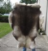 Grade B Reindeer pelt/hide/skin without legs, 49 inches long by 38 inches wide - You will receive the one pictured for $95 (cut marks, hole)