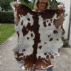 Real Goat Hide for sale (Capra aegagrus hircus) for sale 39 x 28 inches - review all photos - you are buying the goat hide pictured for $35